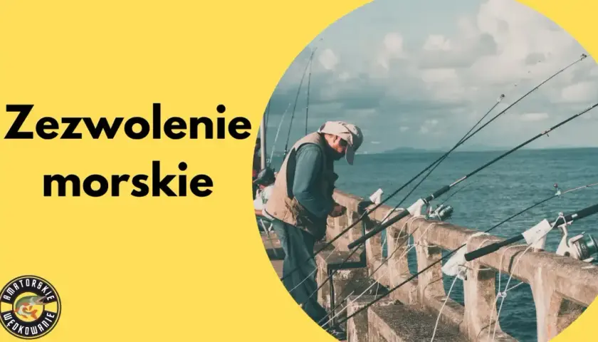 Jak legalnie wędkować na Jeziorze Żywieckim? Ceny i zasady 2026