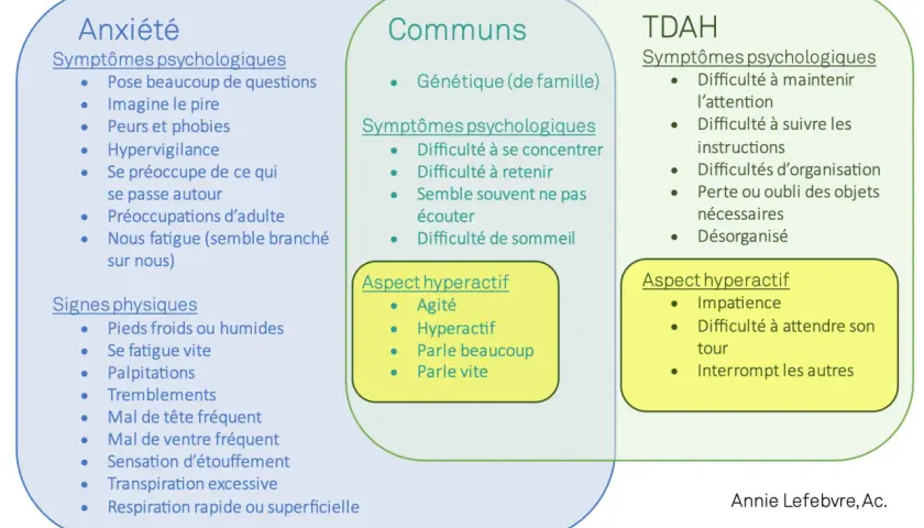 Schéma comparant l'anxiété, les points communs et le TDAH. Le manque de concentration est un symptôme psychologique partagé.