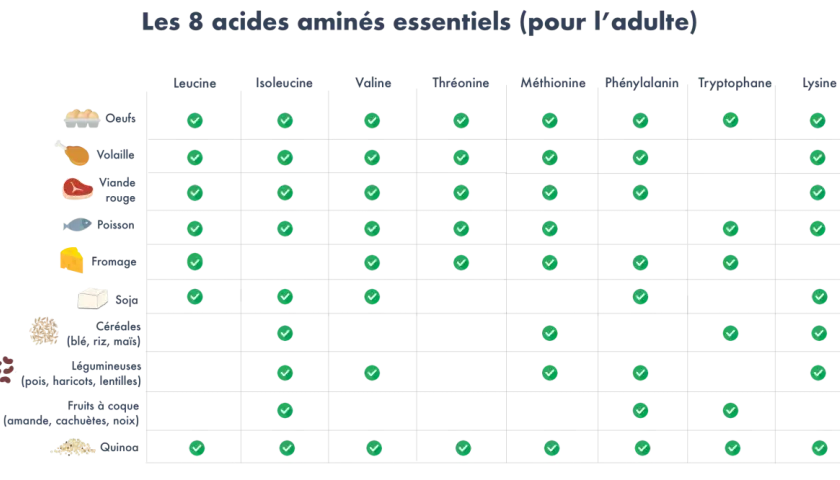 Tableau montrant a quoi servent les acides aminés essentiels, avec des aliments comme les œufs, la viande et le soja.