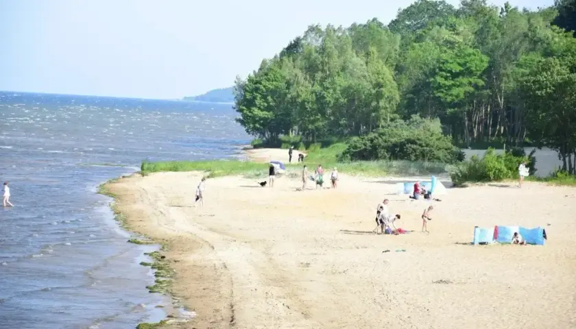 Swarzewo plaża tętni życiem. Ludzie spacerują, kąpią się i odpoczywają na piasku, a w tle szumią drzewa.
