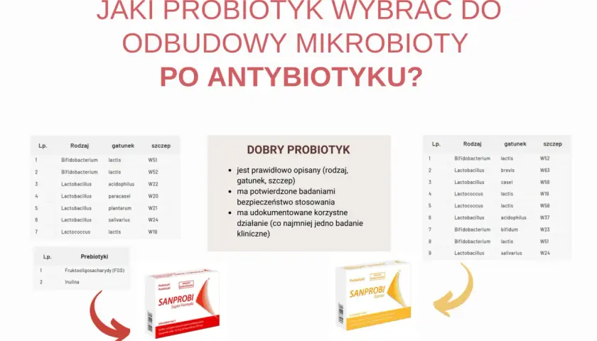 Jakie leki osłonowe przy antybiotyku wybrać do odbudowy mikrobioty? Tabela z probiotykami i prebiotykami, opakowania Sanprobi.