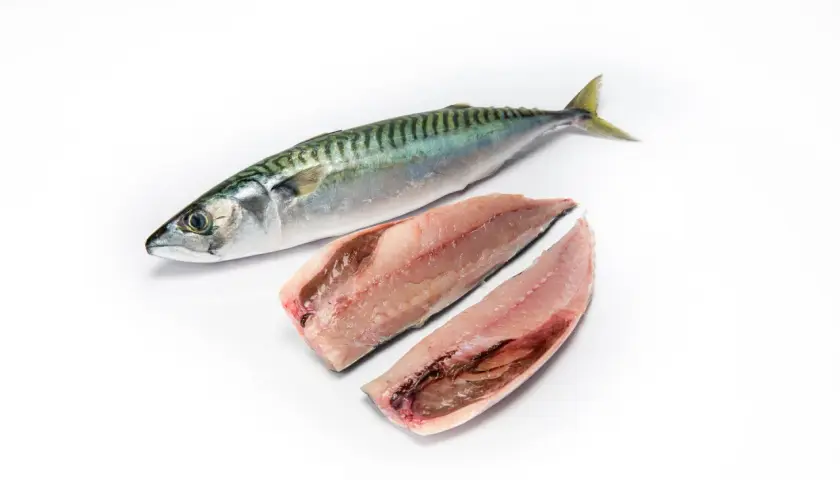 Un pescado entero y dos filetes de caballa, un pescado azul, listos para cocinar.