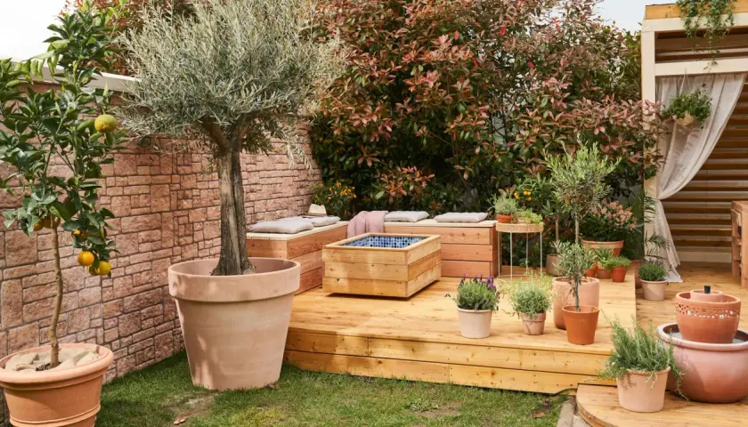 Ein idyllischer permakultur garten mit Olivenbaum, Zitruspflanze, Kräutern und Sitzgelegenheiten auf einer Holzterrasse.