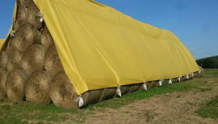 Roulés de foin empilés et recouverts d'une bâche jaune pour un stockage optimal.