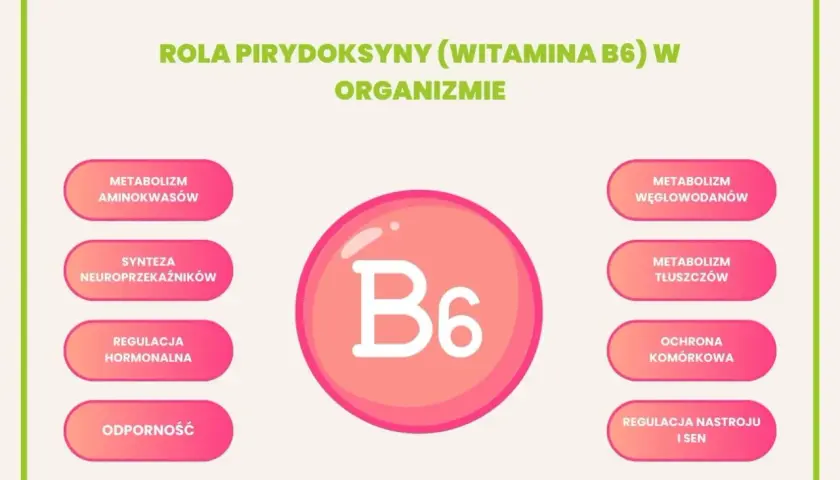 Witaj w świecie witaminy B6! Dowiedz się, na co wpływa pirydoksyna: metabolizm, synteza neuroprzekaźników, odporność, nastrój i sen.