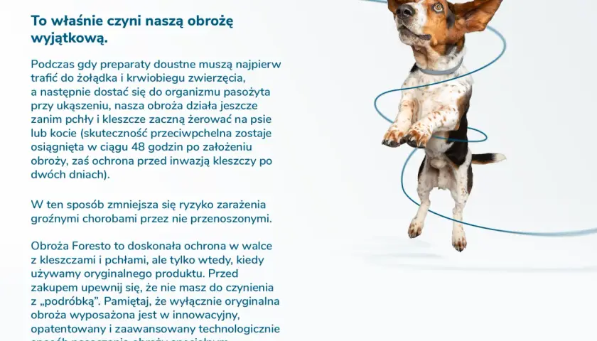 Obroża Foresto - czy jest szkodliwa dla psa i ludzi? Sprawdź ryzyko