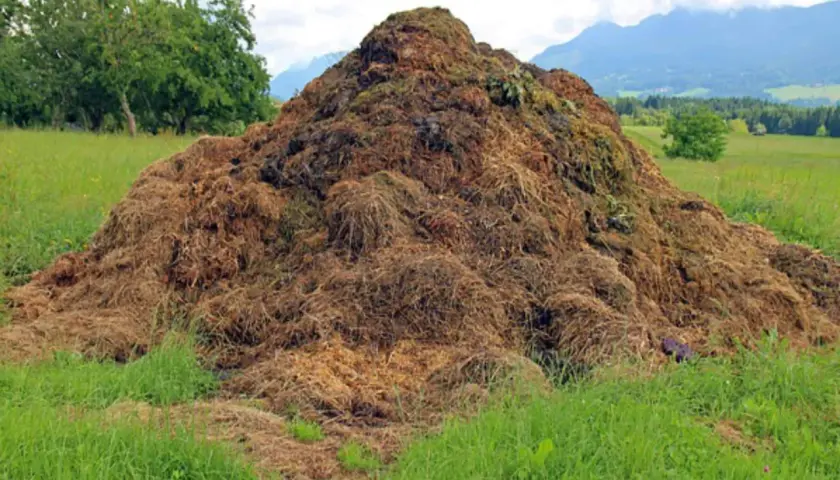 Enorme cumulo di materiale organico in un prato verde, con alberi e montagne sullo sfondo. Ricorda cosa non mettere nel compost per un risultato ottimale.