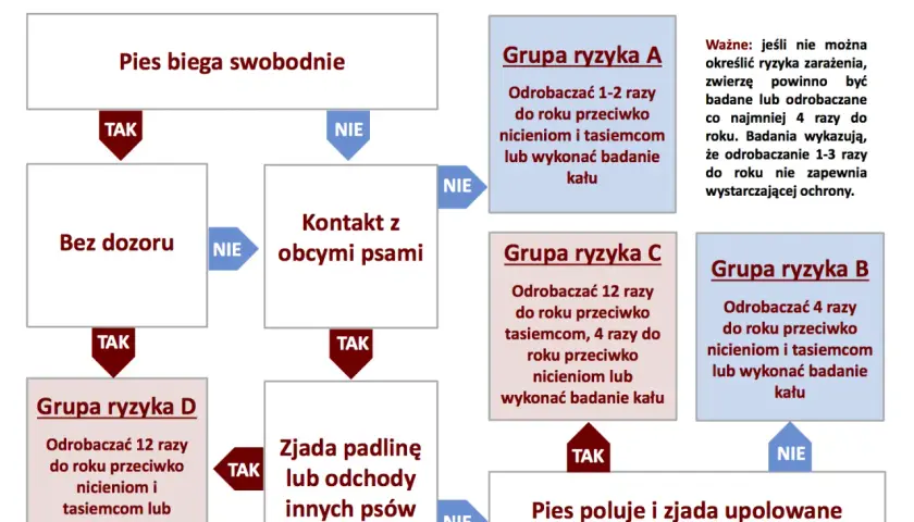 Schemat odrobaczania psów: jak często odrobaczać psa zależy od jego stylu życia i kontaktu z innymi zwierzętami.