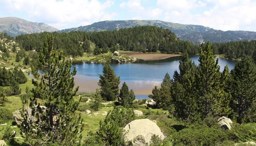 Lago sereno rodeado de pinos y montañas. El agua refleja el cielo azul con nubes algodonosas. Un paisaje idílico, casi como si las bulloses hubieran sido pintadas.