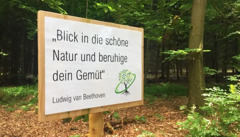 Schild im Wald: "Blick in die schöne Natur und beruhige dein Gemüt" – das ist Waldbaden. Ludwig van Beethoven.