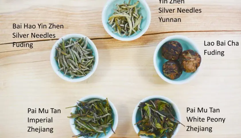 Fünf Schalen mit weißem Tee: Bai Hao Yin Zhen Silver Needles, Yin Zhen Silver Needles, Lao Bai Cha, Pai Mu Tan Imperial und Pai Mu Tan White Peony. Die silbernadel tee wirkung ist sanft und belebend.