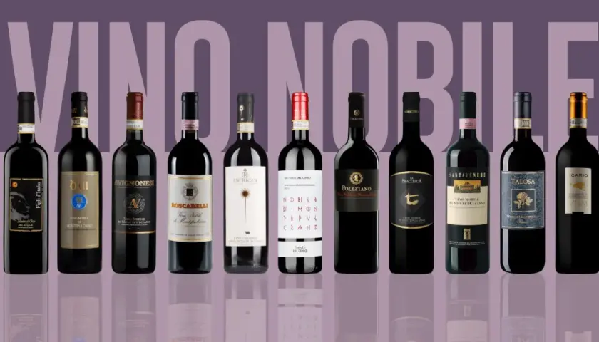 Rząd butelek wina Nobile di Montepulciano, od lewej: Figli d'Italia, Dei, Avignonesi, Boscarelli, De' Ricci, Fattoria del Cerro, Poliziano, La Braccesca, Santavenere, Talosa, Icario.