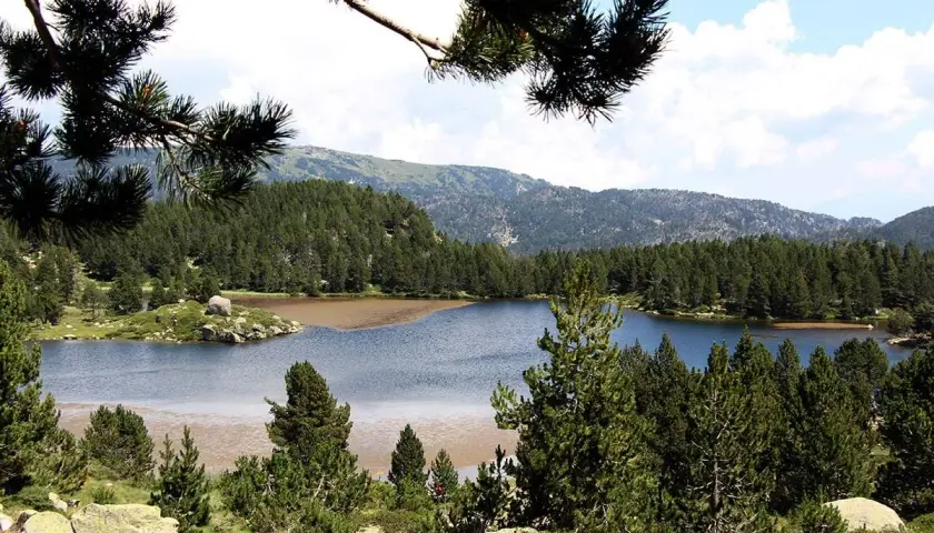 Familia disfrutando de excursiones en Cerdanya, caminando por un sendero rodeado de vegetación y árboles.