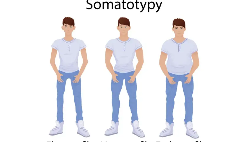 Trzech mężczyzn: ektomorfik (szczupły), mezomorfik (umięśniony) i endomorfik (zaokrąglony), ilustrujących somatotypy.