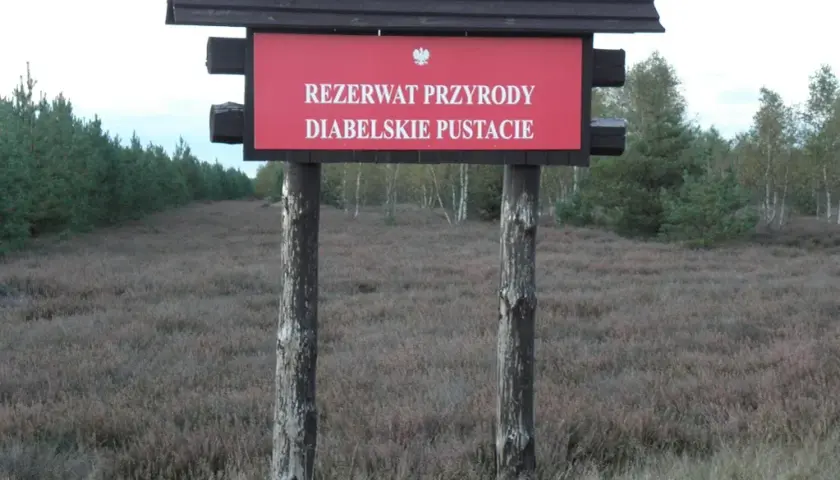 Rezerwat przyrody Diabelskie Pustacie - piękno wrzosowisk i szlaków