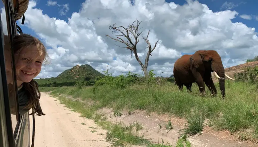 Bambina sorridente sporge dal finestrino di un fuoristrada in Kenya, mentre un elefante cammina nella savana.