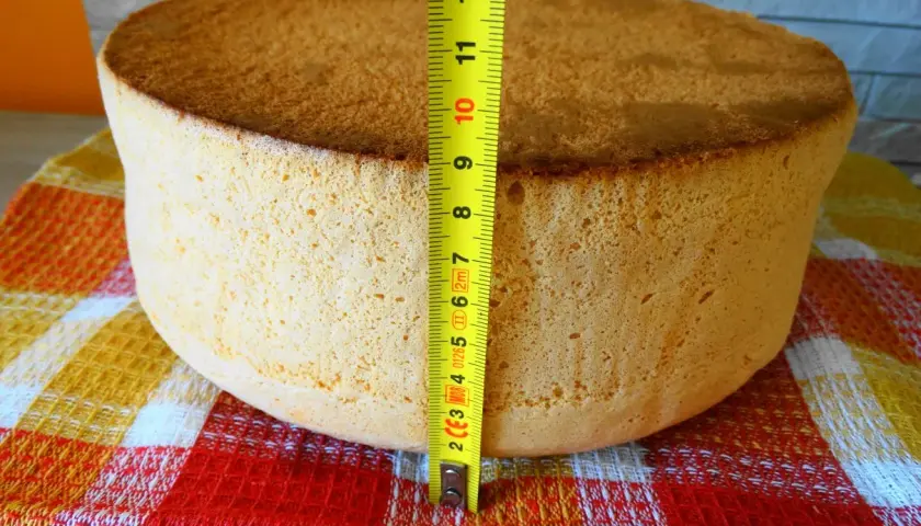 Idealny biszkopt na tort, zmierzony miarką, ma około 7 cm wysokości. Puszysty i złocisty, gotowy do dekoracji.