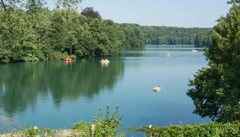 Spokojne jezioro ciecz otoczone zielonymi drzewami. Kilka łódek pływa po wodzie, tworząc sielski krajobraz.