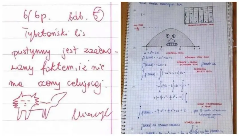 Zapiski z analizy matematycznej z zabawnym rysunkiem lisa i wykresem funkcji. Może to być inspiracja na 100 ciętych ripost!