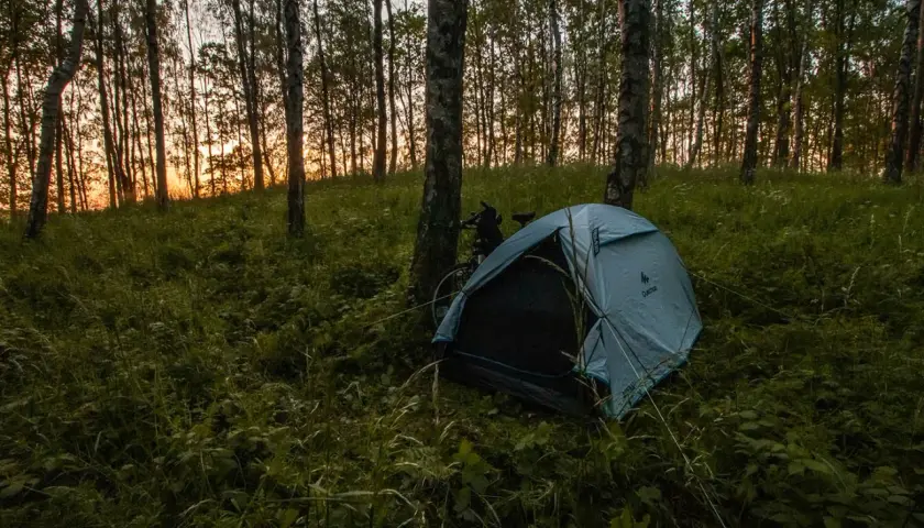 Namiot i rower w lesie o zachodzie słońca. Czy to nocleg na dziko, za który grozi mandat?