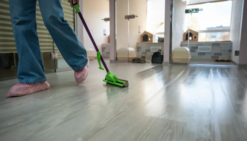 Person wischt mit einem Mopp über den Boden. Hausmittel zur Farbe vom Boden entfernen.