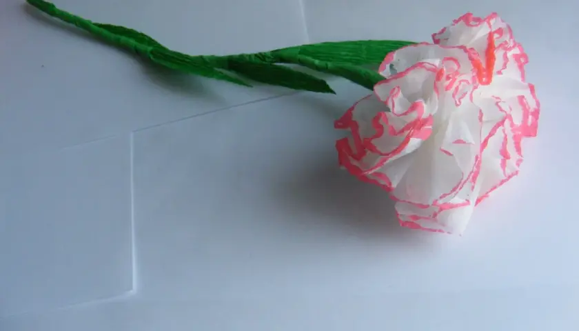 Delikatne kwiaty z papieru toaletowego, białe z różowymi brzegami, na zielonej łodyżce.