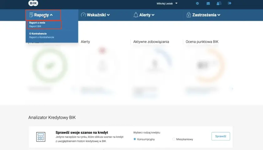 Menu "Raporty" z rozwiniętą opcją "Raport BIK".