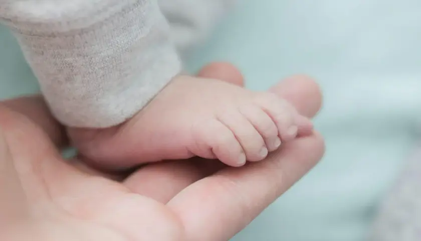 Piede di neonato maschio su mano adulta. Un piccolo tesoro da confrontare con la tabella percentili neonato maschio.