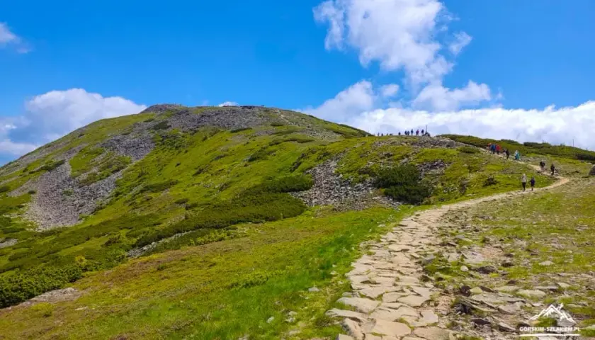 Babia Góra 1725 m n.p.m.: Szlaki, pogoda, bezpieczeństwo. Gotowy na szczyt?