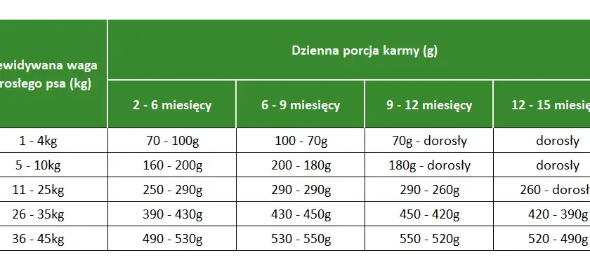 Co powinny jeść szczeniaki husky? Dieta, składniki i częstotliwość karmienia