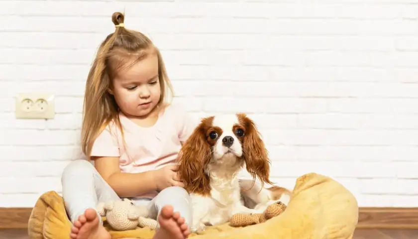 Najlepszy pies dla dziecka? Rasy, koszty i porady dla rodziców