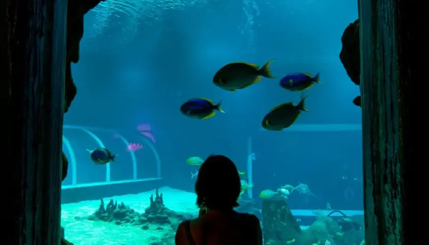 Bilety do oceanarium w Łodzi: ceny, zniżki i jak kupić online