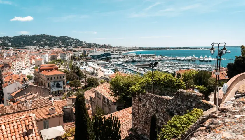 Widok na port w Cannes z licznymi jachtami i budynkami. W oddali wzgórza porośnięte zielenią.