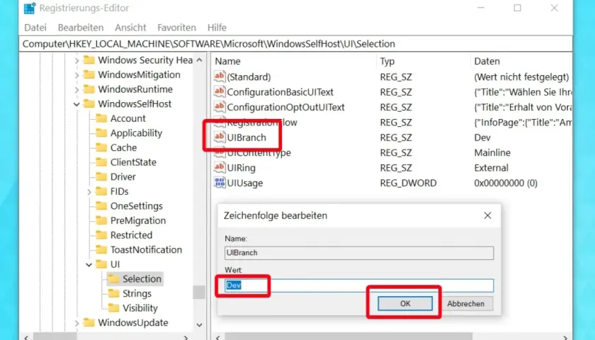 Bearbeiten des Windows 11 Registry-Eintrags "UIBranch" auf "Dev" im Registrierungs-Editor.