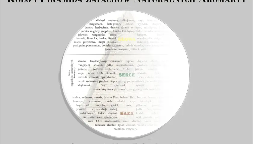 Koło i piramida zapachów naturalnych Aromarty: lista nut zapachowych perfum, od cytrusowych po drzewne.