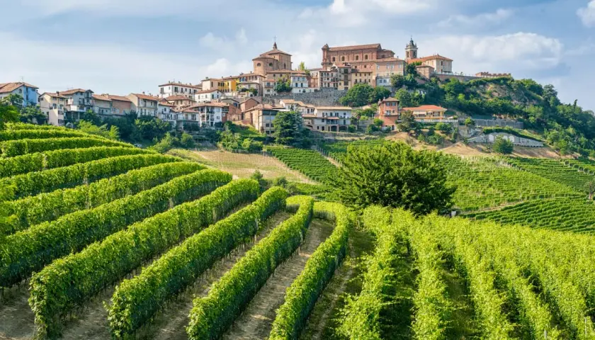 Colline verdi con vigneti rigogliosi e un borgo storico in cima. Un assaggio di cosa vedere a Voghera, tra paesaggi mozzafiato e storia.