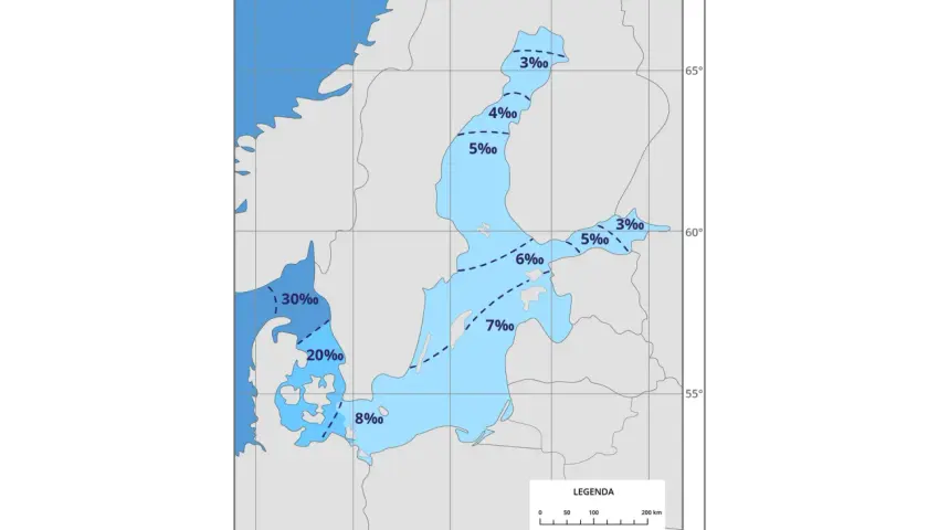 Mapa pokazuje zasolenie Bałtyku. Czy Bałtyk jest słodki? W niektórych miejscach zasolenie jest niskie, np. 3‰, ale w cieśninach duńskich sięga 30‰.