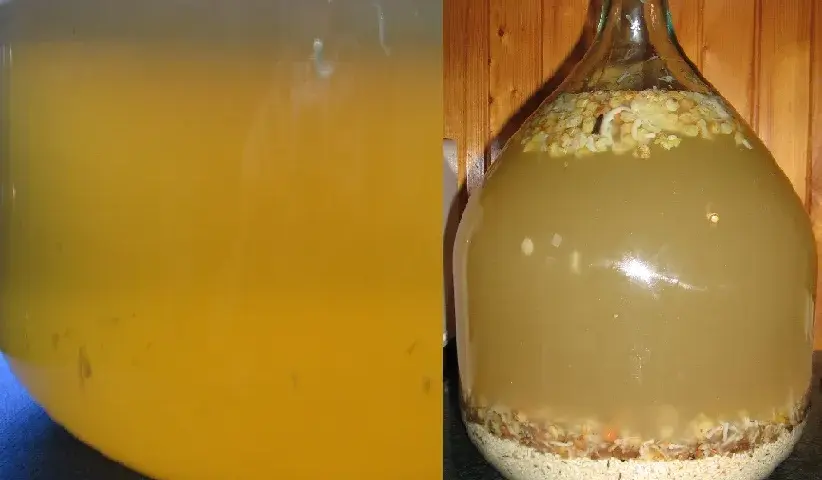 Wino ryżowe: przepis na domowe wino z ryżu
