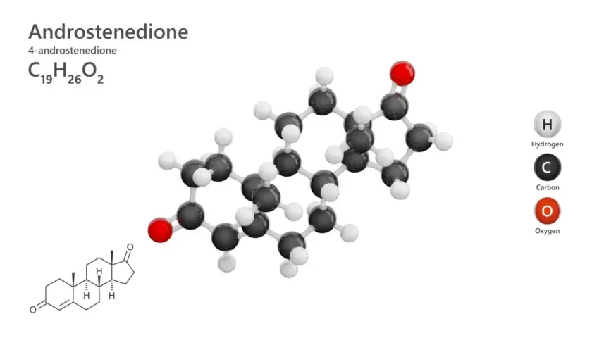 Model cząsteczki androstendionu, steroidu z grupy androgenów, z atomami węgla (czarne), wodoru (białe) i tlenu (czerwone).