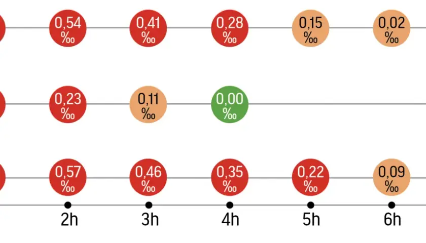 Wykres pokazuje czas trzeźwienia po alkoholu, ilustrując spadające stężenie promili we krwi w zależności od upływu godzin.