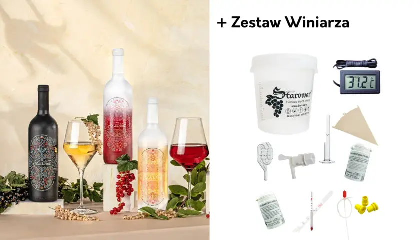 Butelki z winem i kieliszki z owocami, obok zestaw winiarza. Dowiedz się, jakie owoce najlepiej nadają się na domowe wino poza winogronami.