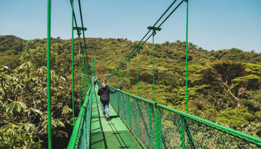Frauen spazieren über eine Hängebrücke im Regenwald von Monteverde, Costa Rica, mit üppiger grüner Vegetation.