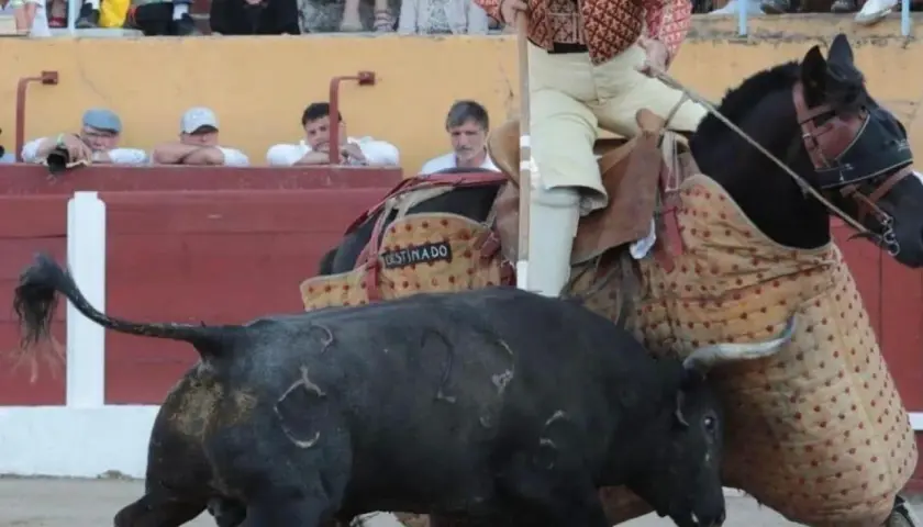 Un picador a caballo se enfrenta a un toro negro de la ganadería Raso de Portillo. El toro tiene marcas en el lomo.