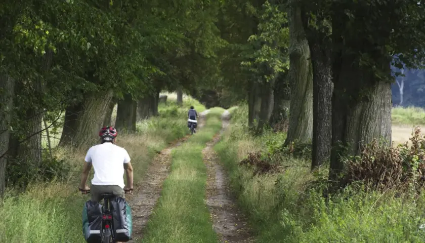 Dwaj rowerzyści przemierzają malowniczą szymbark trasę wśród drzew.