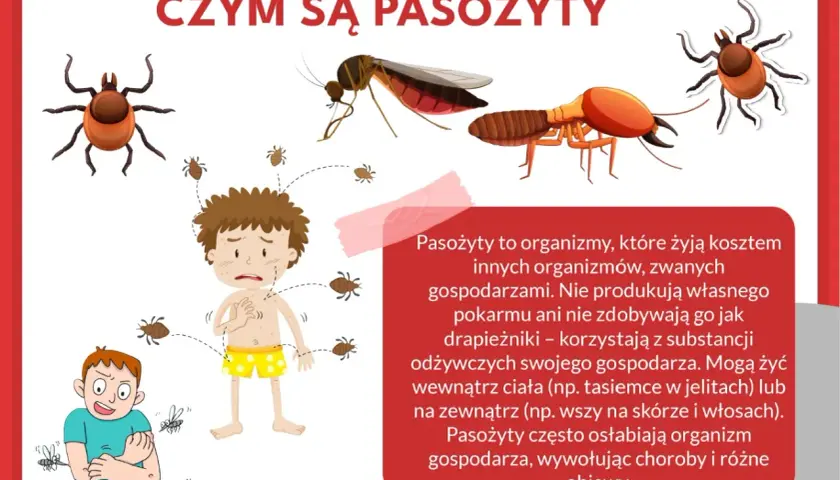 Ilustracja pokazuje kleszcze, komary i inne **gzy owad**, które atakują przerażonego chłopca.