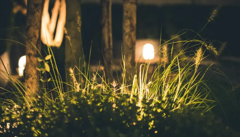 Nocne oświetlenie ogrodu inspiracje: trawy i krzewy rozświetlone ciepłym blaskiem lamp, tworząc magiczną atmosferę.