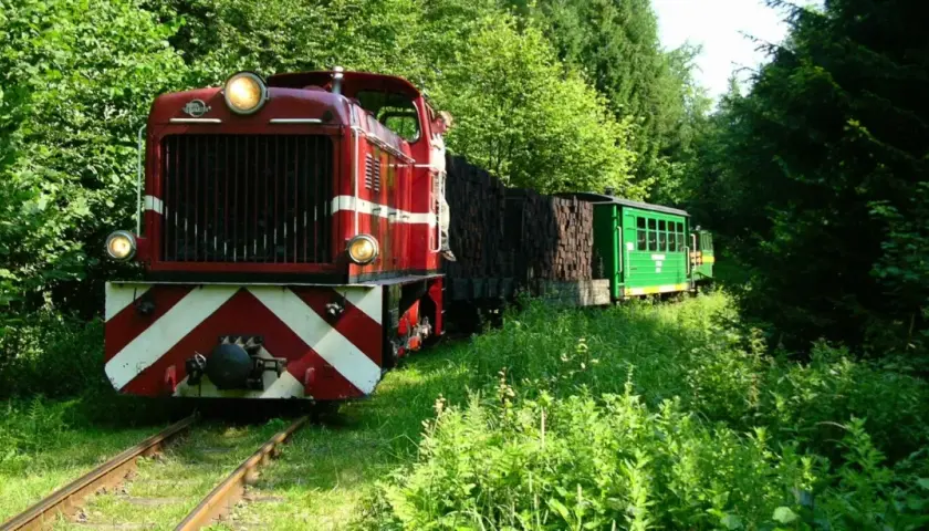 Czerwona lokomotywa i zielony wagonik na szlaku kolejki wąskotorowej, otoczone bujną zielenią.