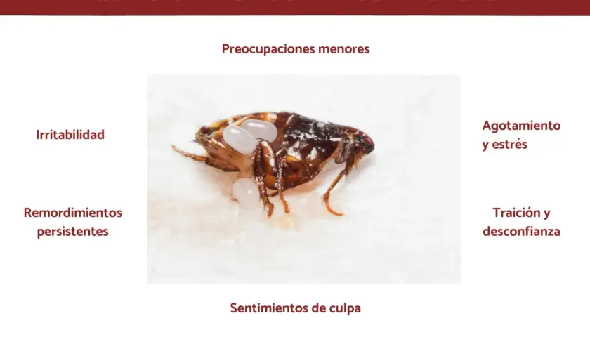 Una pulga con huevos, simbolizando preocupaciones menores, irritabilidad y agotamiento al soñar con pulgas.