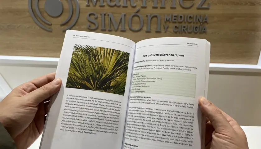 Saw palmetto para que sirve: esta planta, Serenoa repens, se usa para tratar problemas de próstata y cabello.