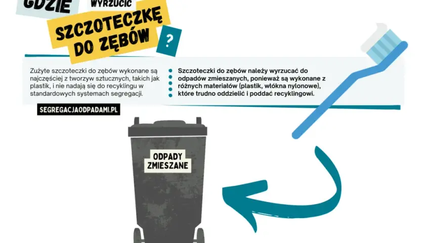 Gdzie wyrzucić szczoteczkę do zębów? Nie popełniaj tego błędu!